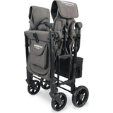 Elite Double Wagon Style Stroller