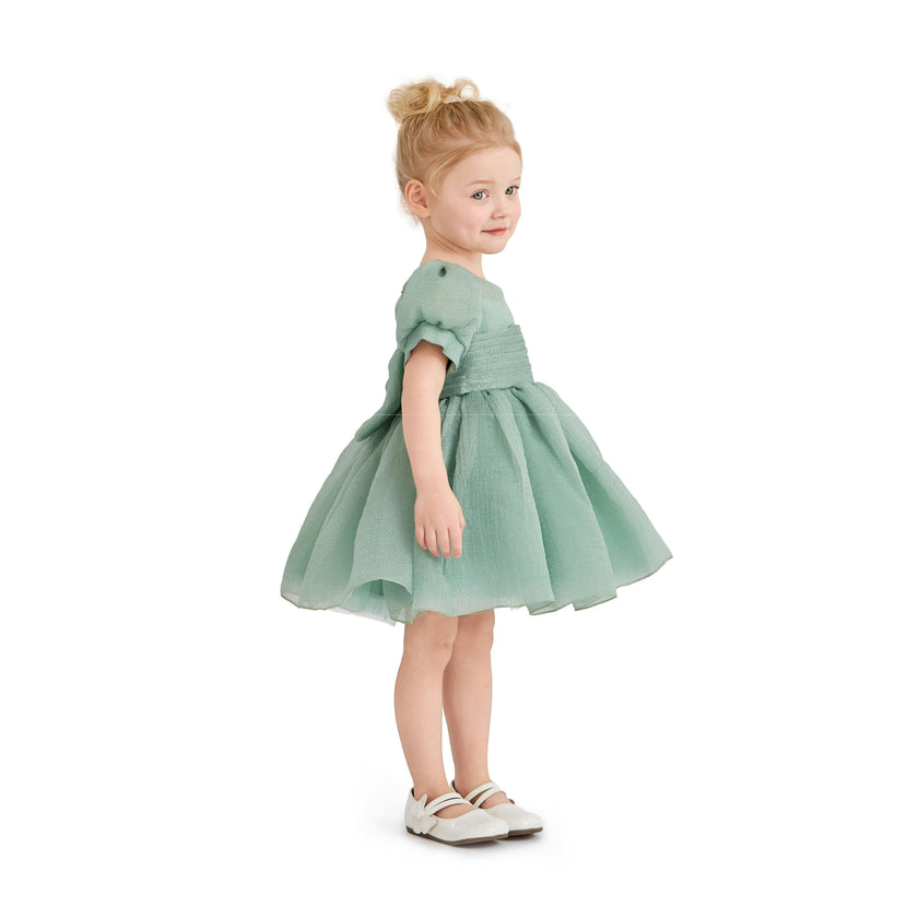Light Green Brixton Puff-Sleeve Party Dress
