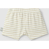 Striped Shorts
