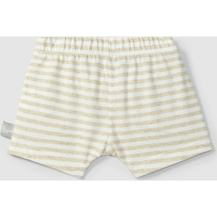 Striped Shorts