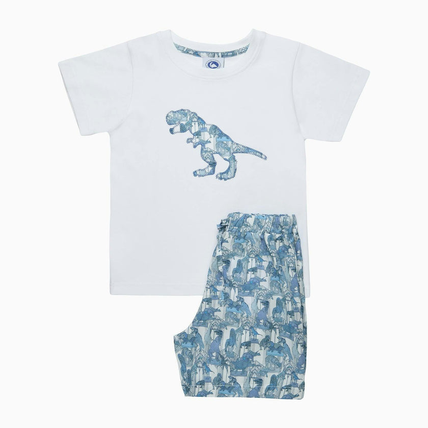 Dinosaur Jersey Pajamas