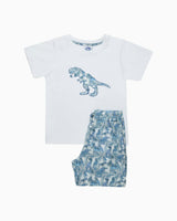 Dinosaur Jersey Pajamas