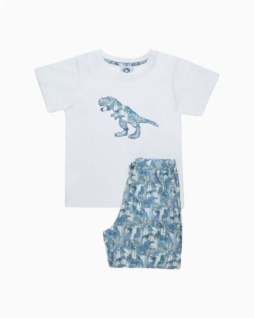 Dinosaur Jersey Pajamas