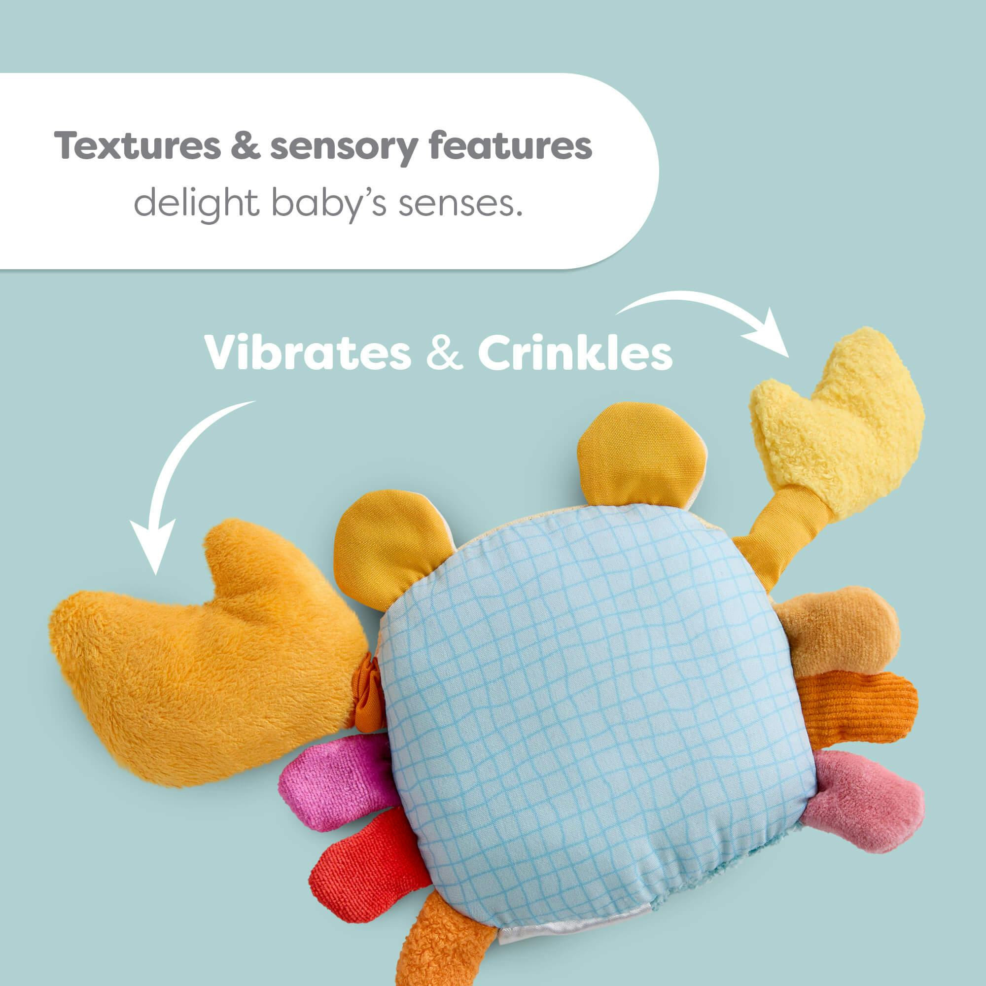 Crabby Sensory Baby Toy