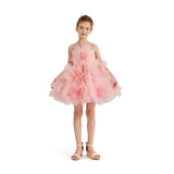 Rose Briellea Embellished Sleeveless Dress