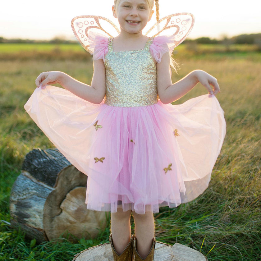 Sequins Butterfly Dress & Wings