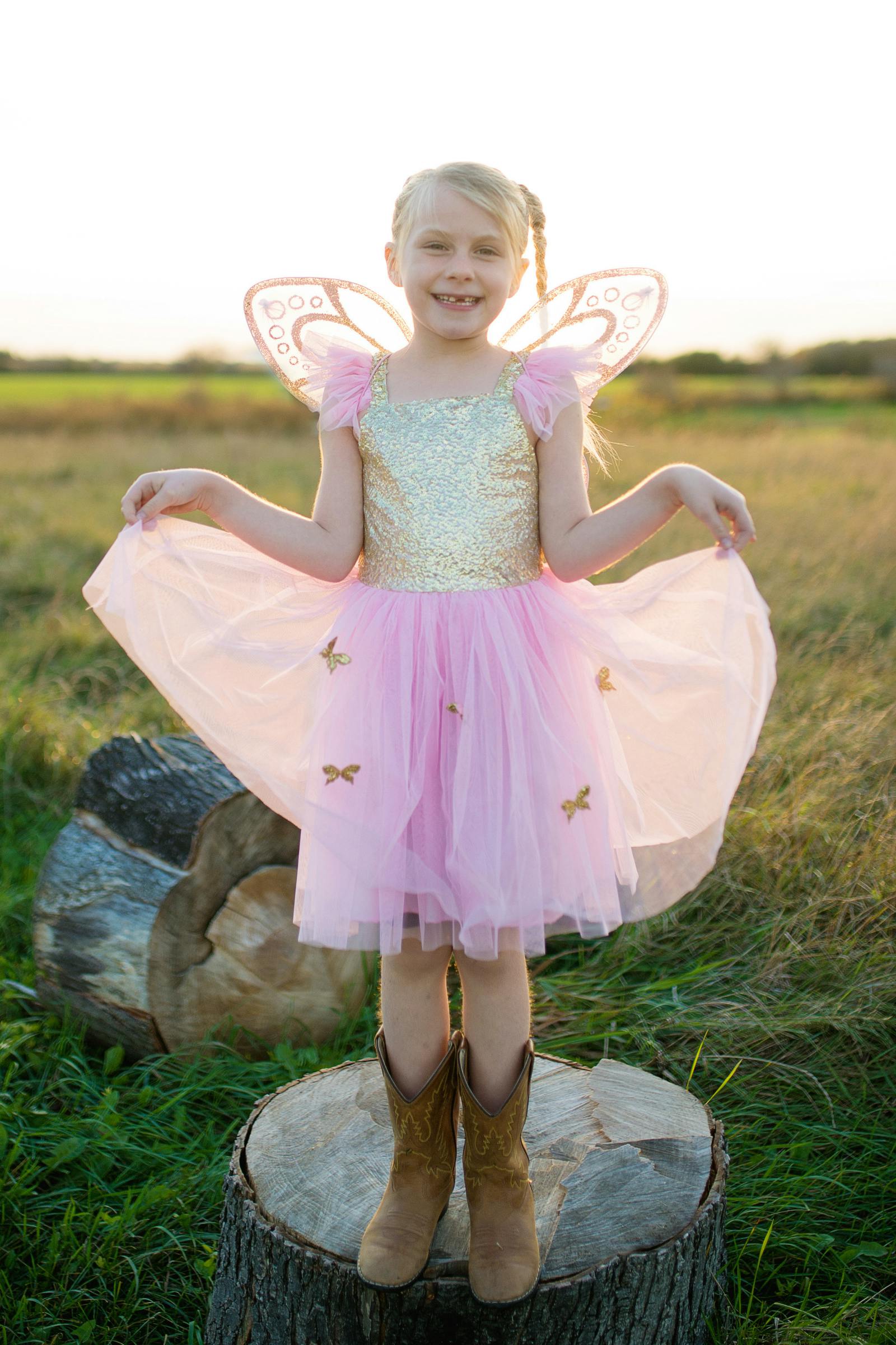 Sequins Butterfly Dress & Wings