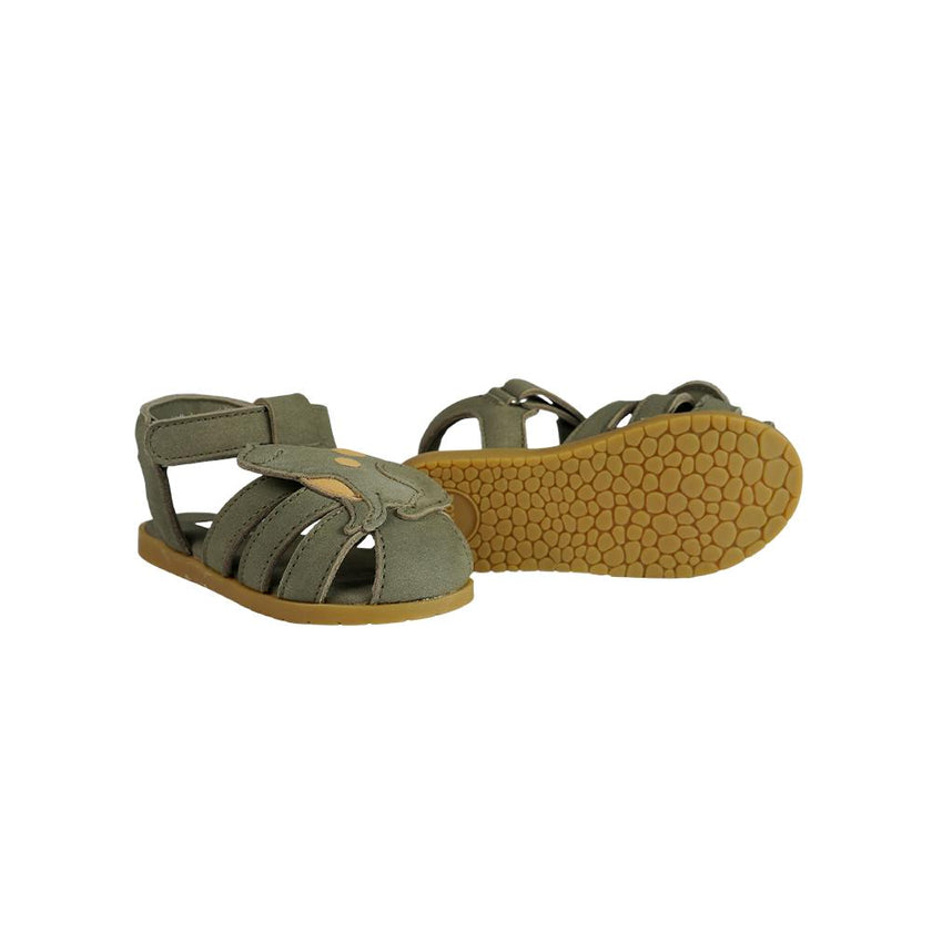 Damio Sandals | Frog | Stone Nubuck