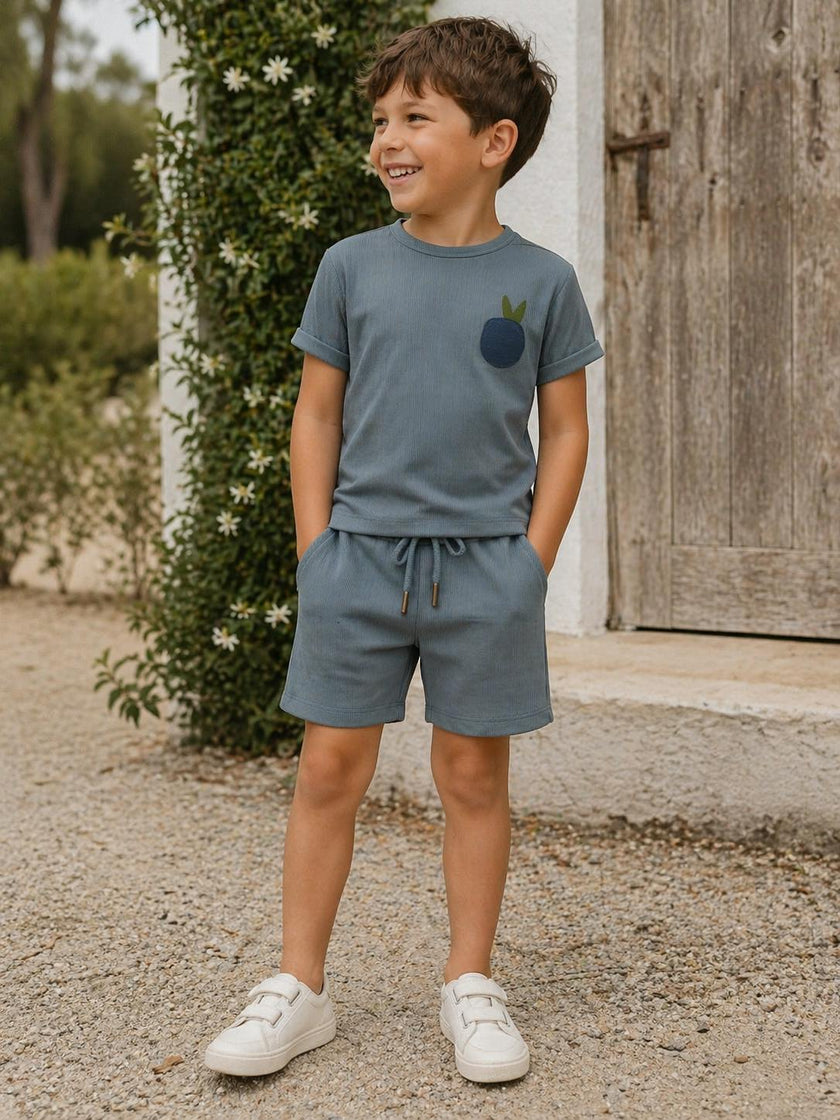 Boys Ribbed Berry Applique Tee & Short Set