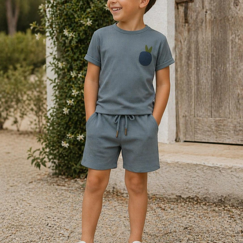 Boys Ribbed Berry Applique Tee & Short Set
