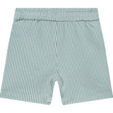 Striped Swim Shorts