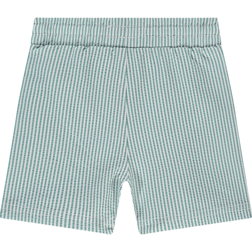 Striped Swim Shorts