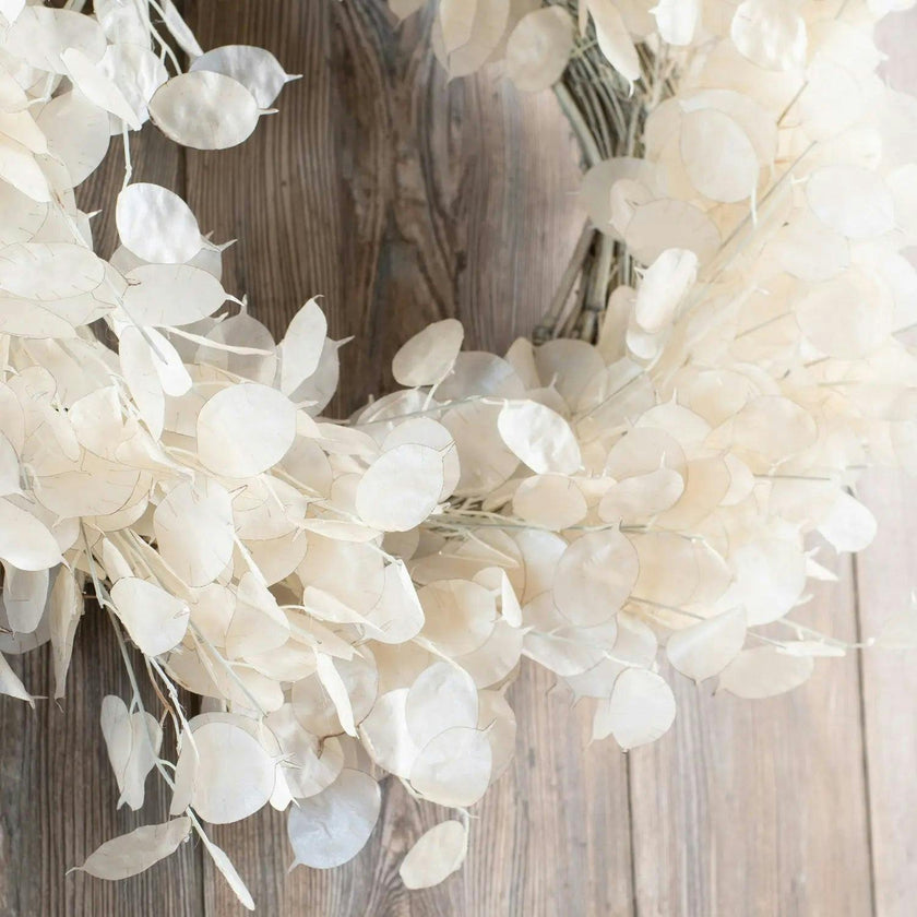 Dried Look Translucent Bleached Lunaria All Seasons Fall Wreath
