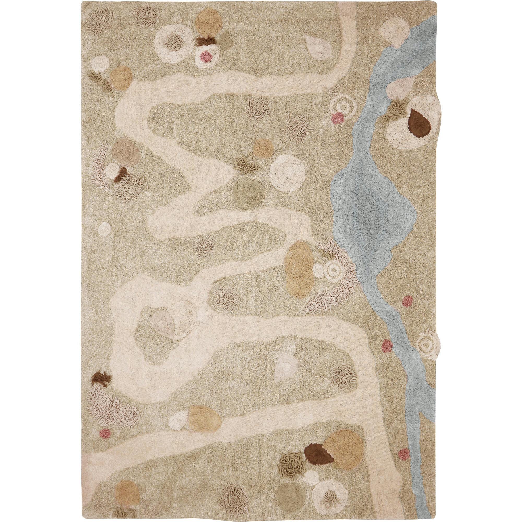 Washable Rug Path
