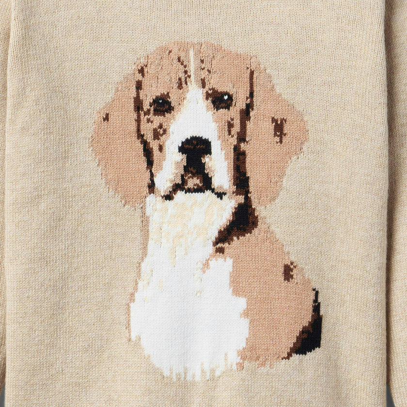 The Dog Sweater, brown