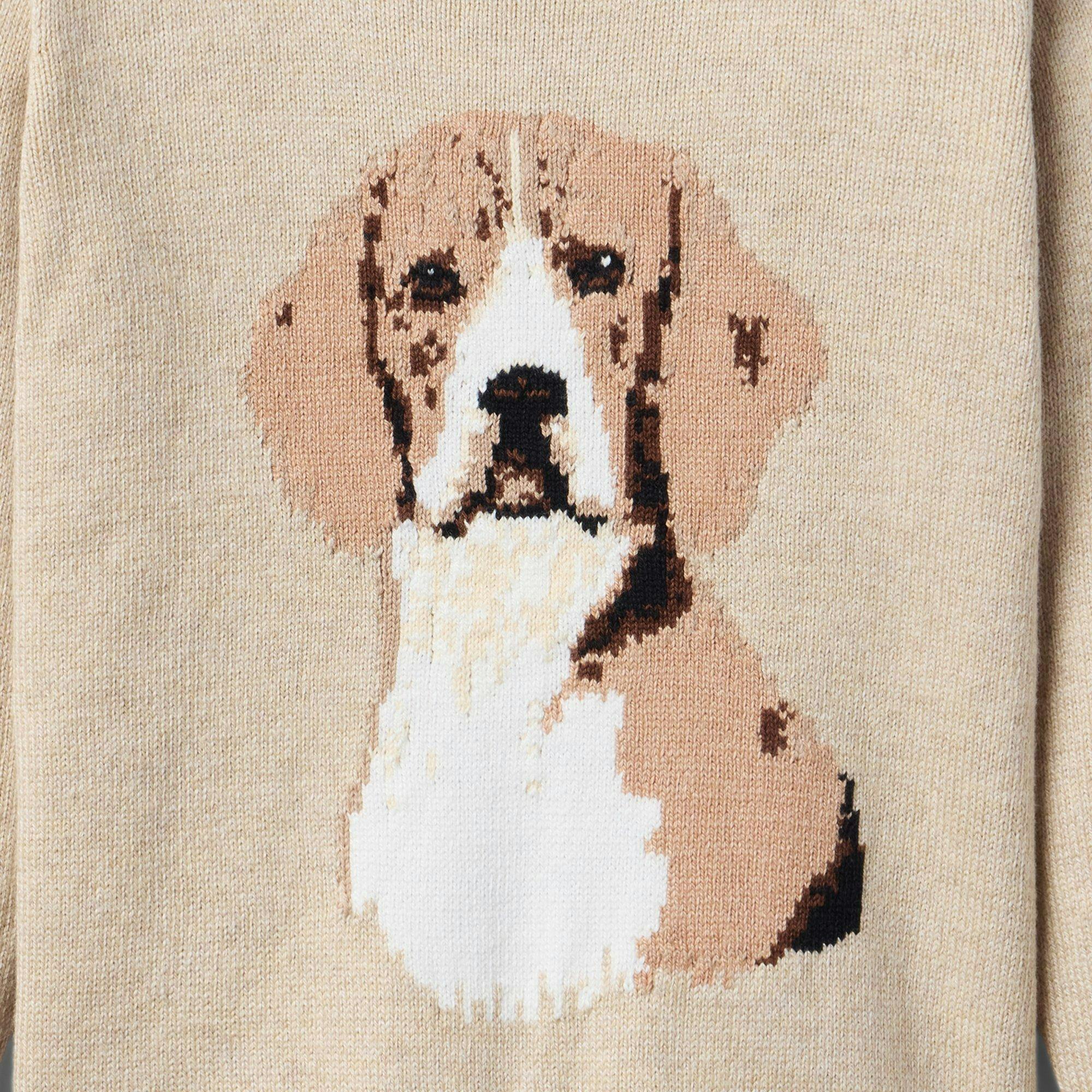 The Dog Sweater, brown