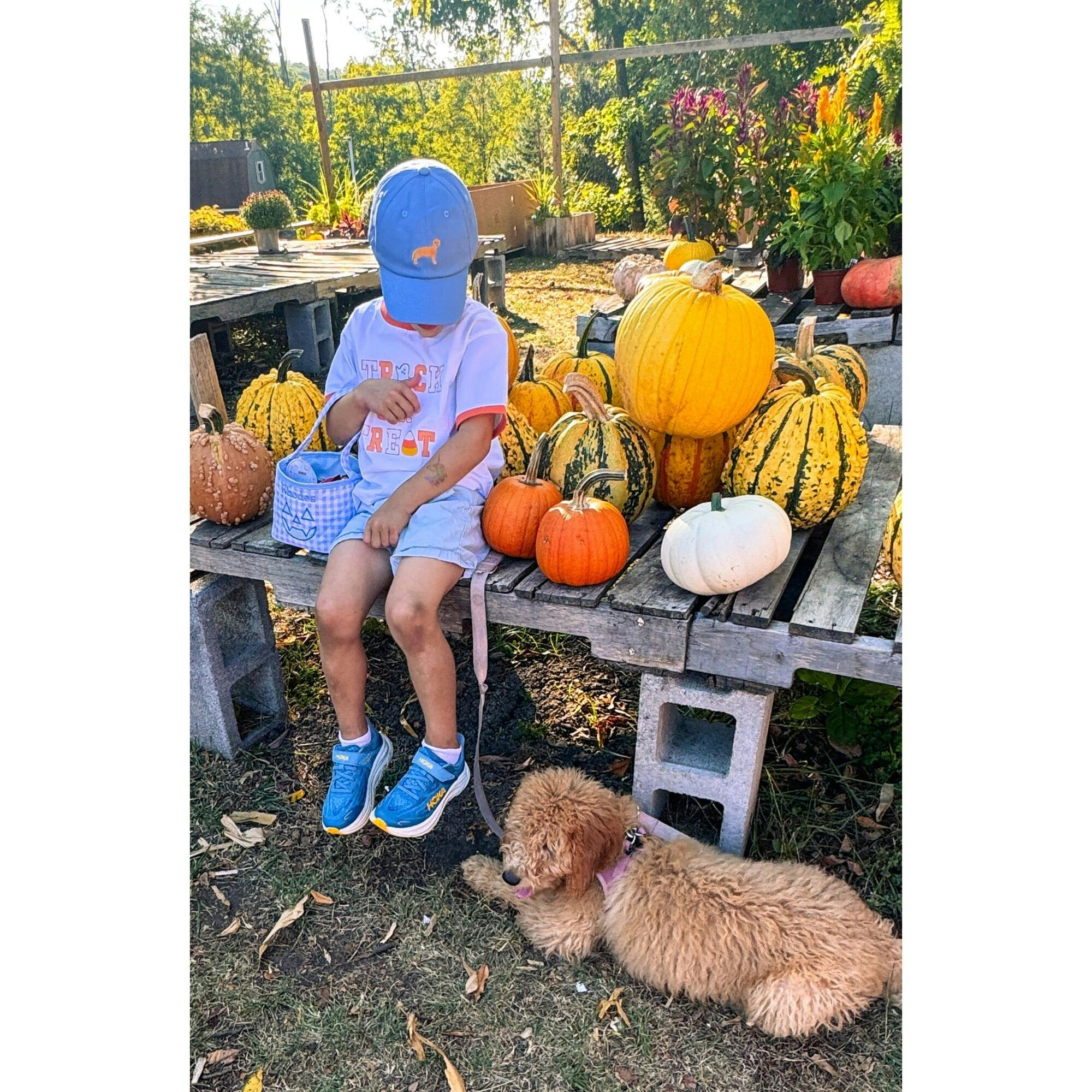Golden Retriever Dog Baseball Hat