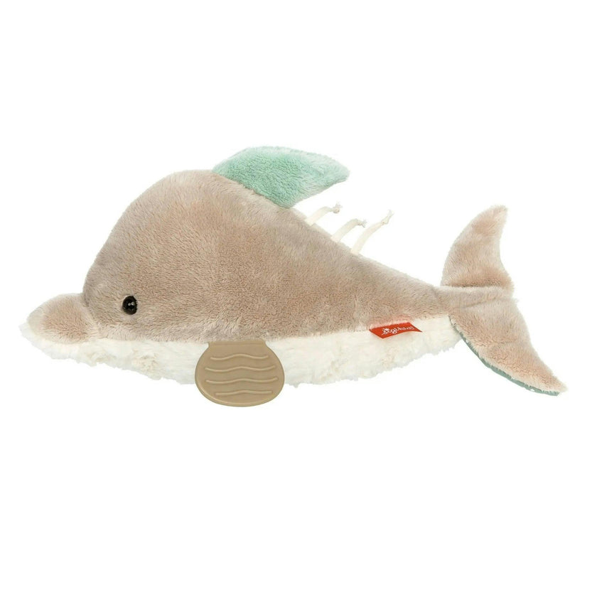 Dolphin Activity Toy