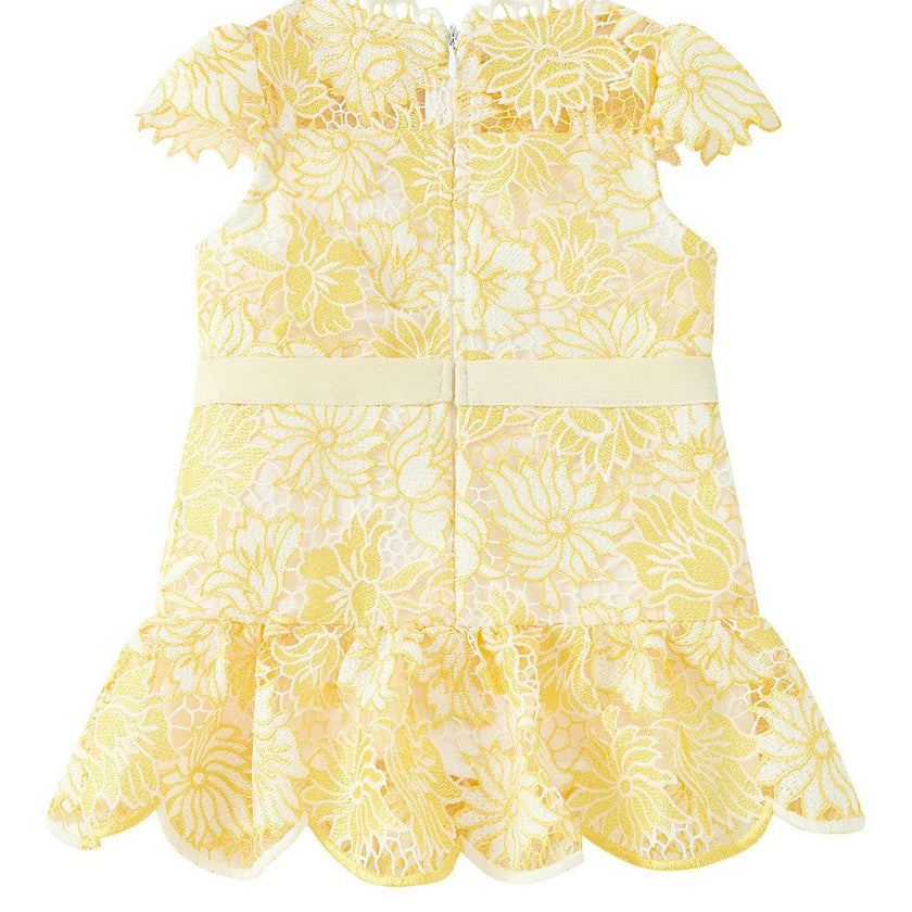 Cassandra Embroidered Mini Dress (Baby)