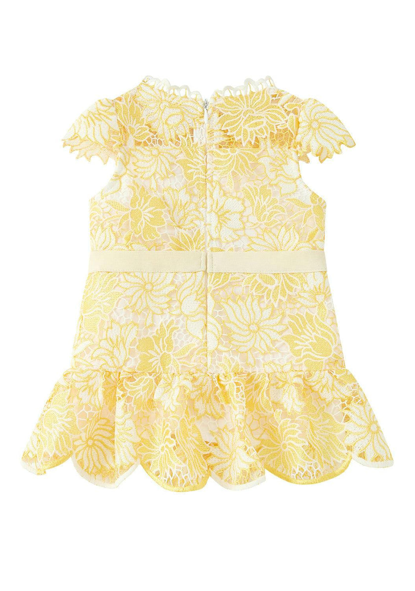 Cassandra Embroidered Mini Dress (Baby)