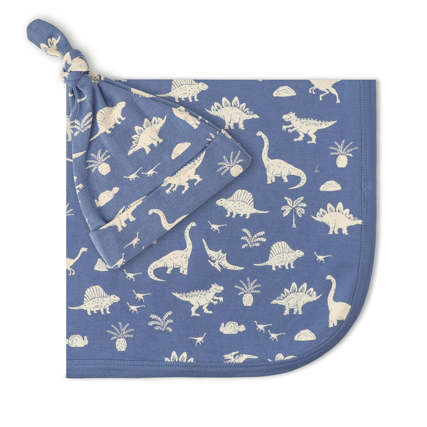 Organic Swaddle Blanket & Hat Set