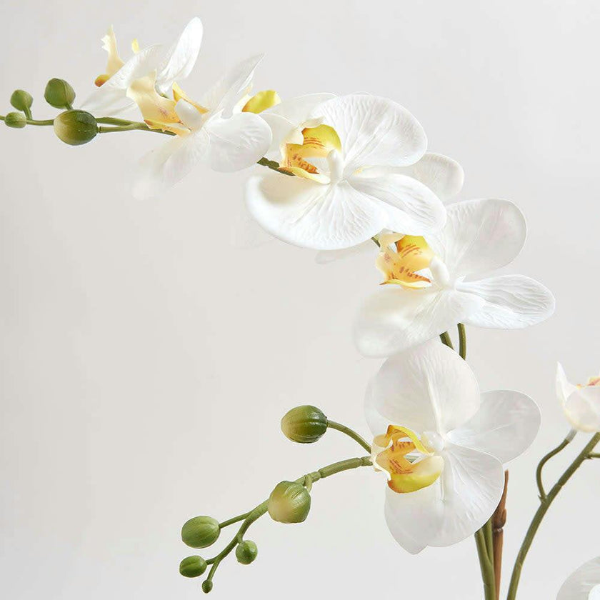 Artificial Orchid with Succulents