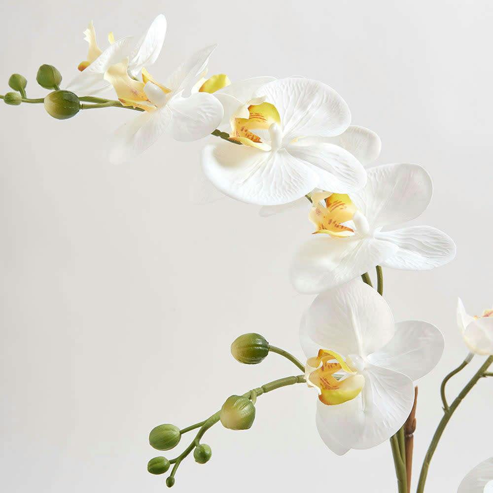 Artificial Orchid with Succulents