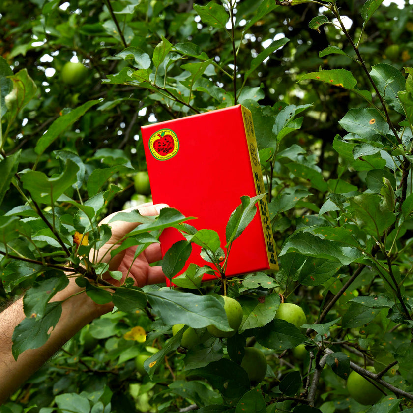 Flat Apple Puzzle