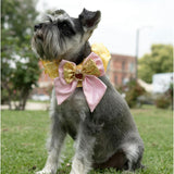 Disney Belle Collar, Yellow