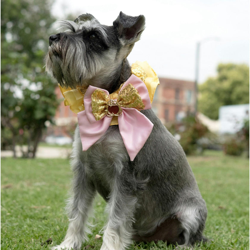 Disney Belle Collar, Yellow