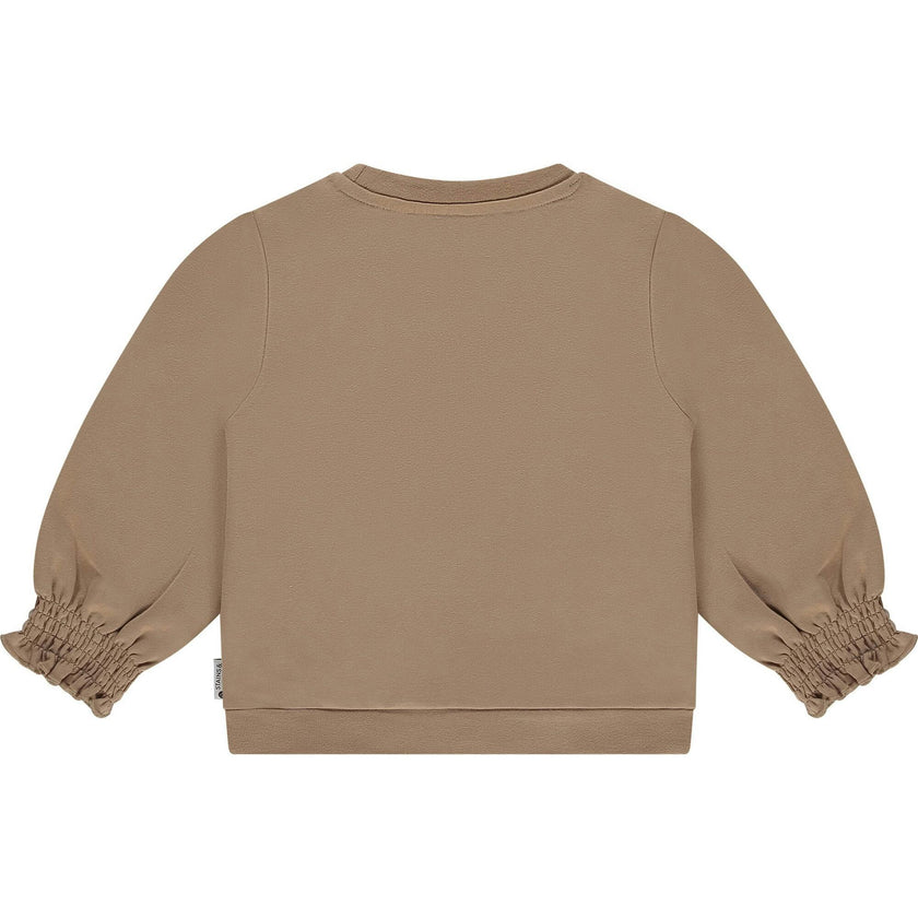Leopard Accent Crewneck Sweatshirt