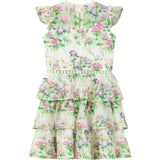 Clementine Embroidered Mini Dress