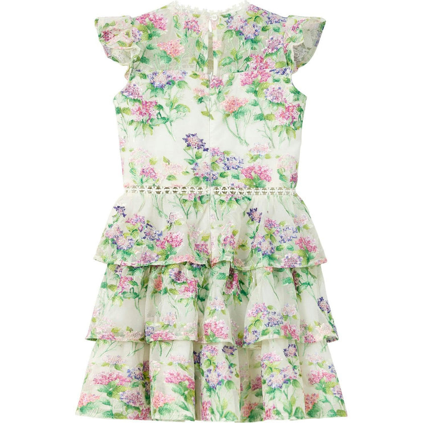 Clementine Embroidered Mini Dress
