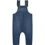 Denim Overalls