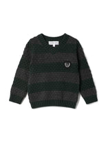 Striped Knit Vneck Sweater Forest/Charcoal