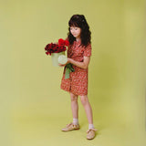 Eaton Dress - Ruby Chintz