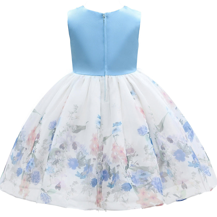 Blue Mabel Floral Garden Organza Dress