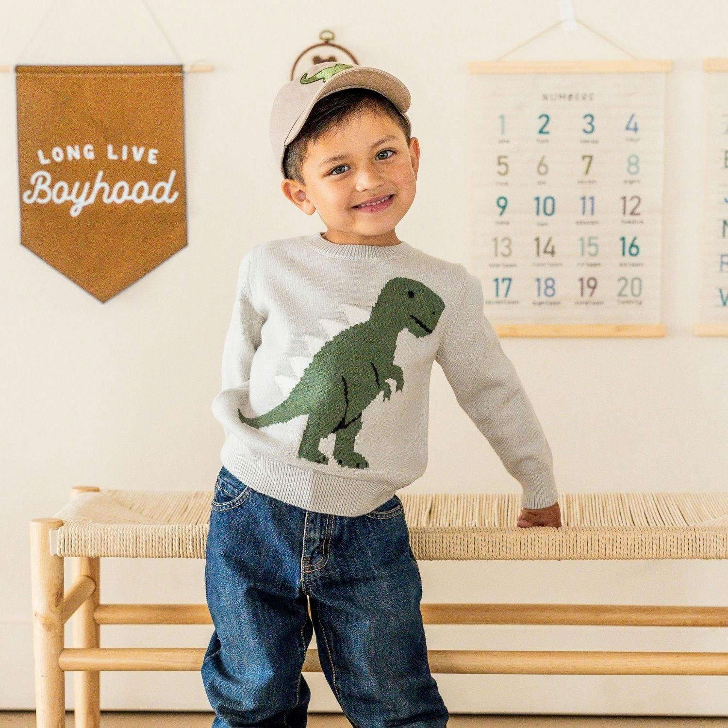 Dinosaur Patch Baseball Hat