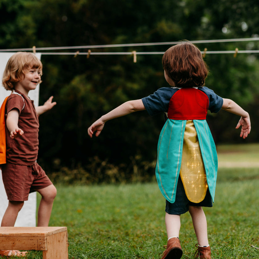 Firefly Costume Wings