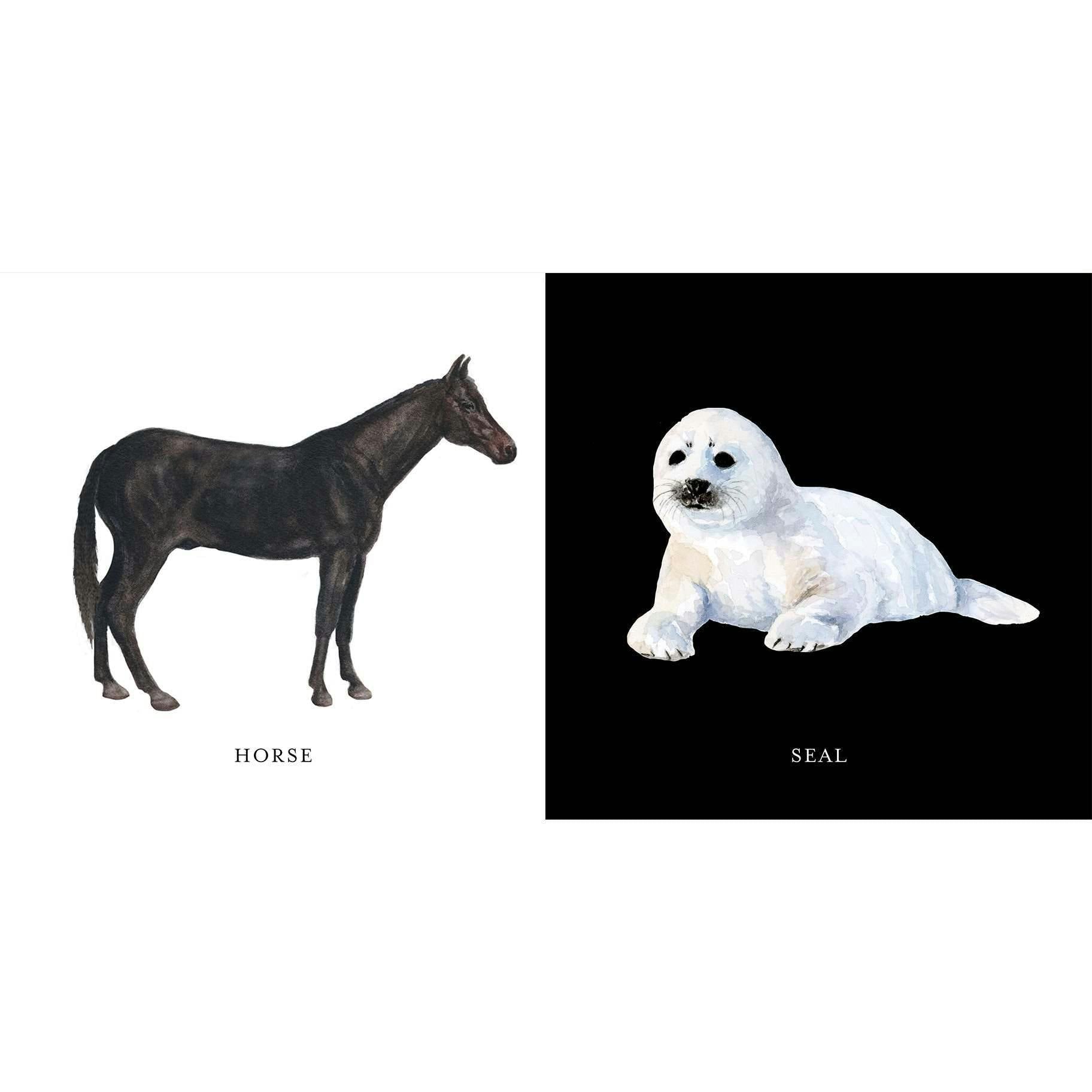 Baby's Black and White Contrast Book