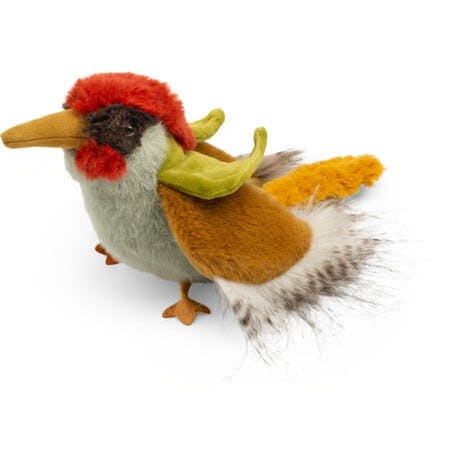 Green Woodpecker - All Around The World