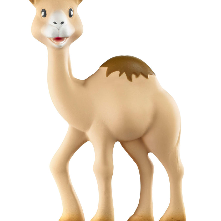 Al'Thir the Camel Teether