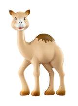 Al'Thir the Camel Teether
