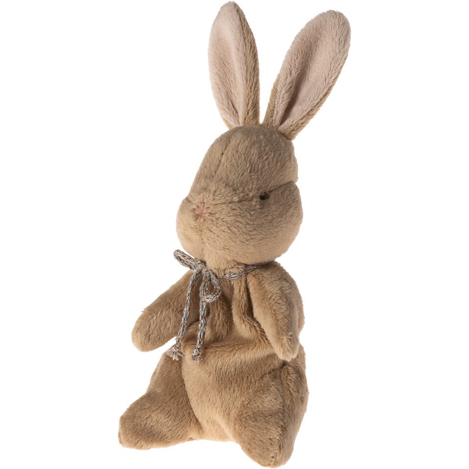 My first bunny - Brown