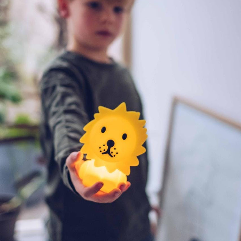 Mr Maria Lion Lights