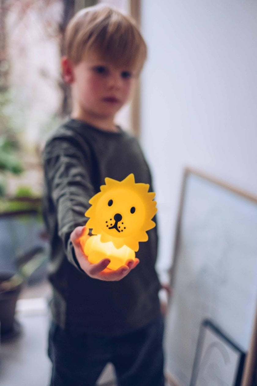 Mr Maria Lion Lights