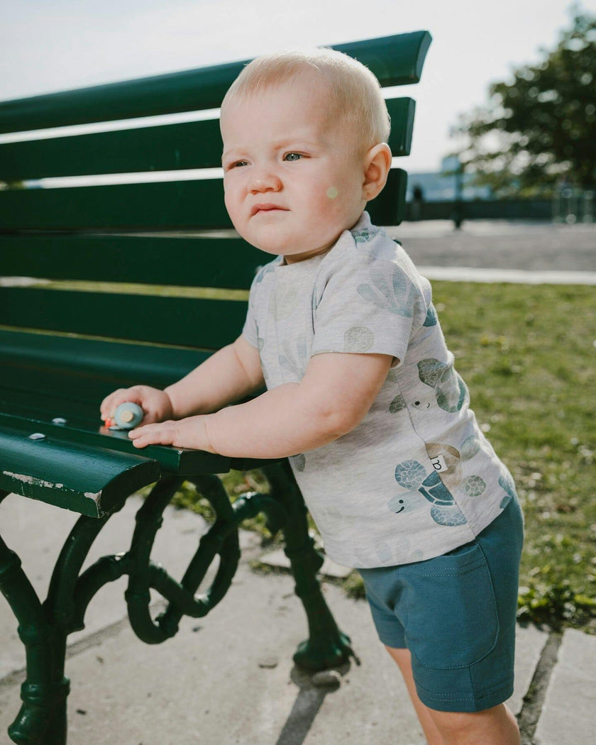 Jersey T-Shirt And Organic Cotton Jersey Shorts Set Grey Mix Turtle Print And Medium Blue