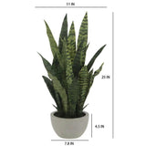 25" Snake Plant in Gray Pot