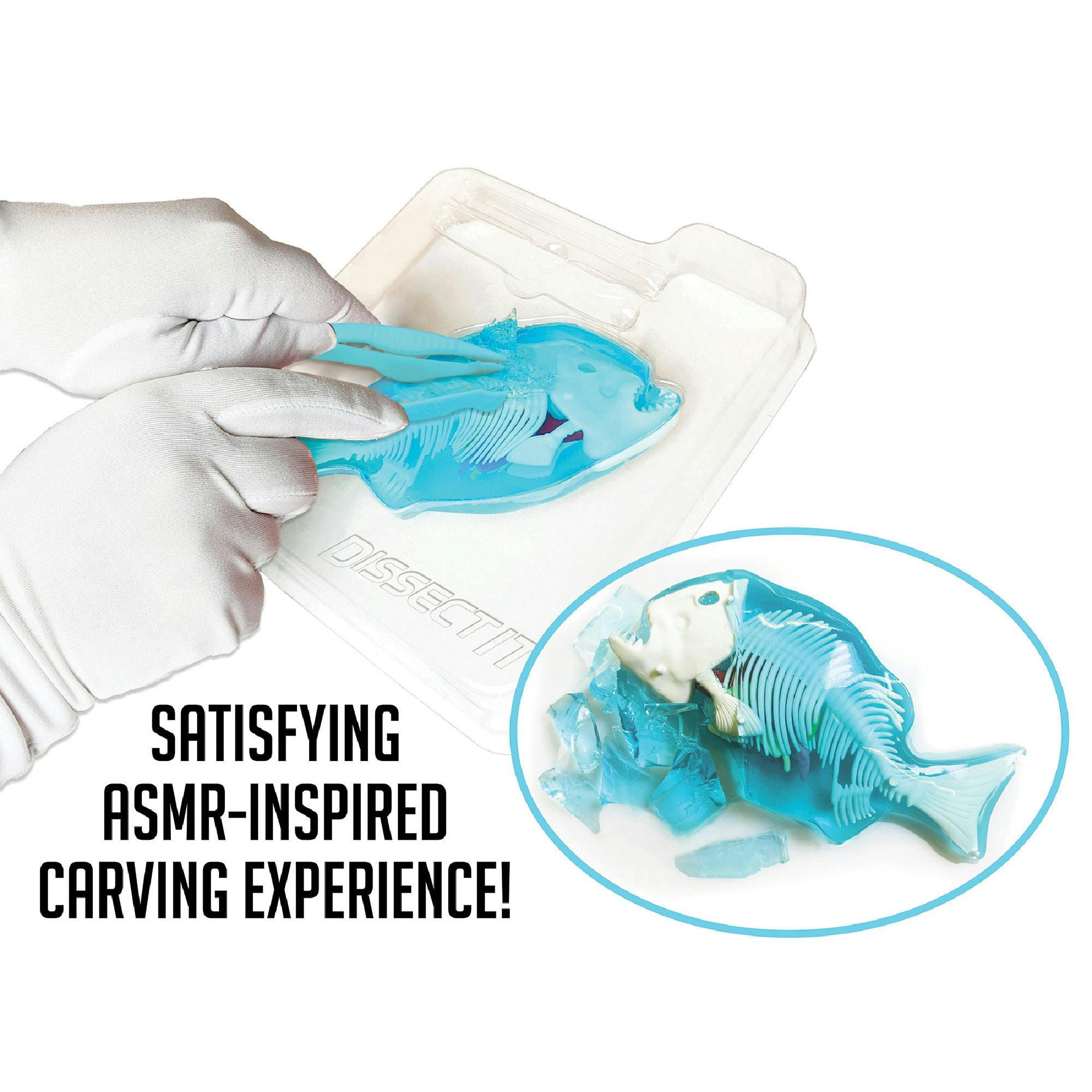Dissect-It: Piranha Lab