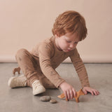 Organic Tee & Pants Set - Woodland Fox